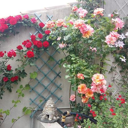 Au Bon Penequet Bed & Breakfast Pujaut Bagian luar foto