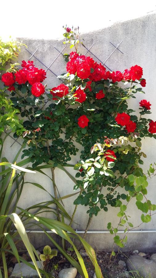 Au Bon Penequet Bed & Breakfast Pujaut Bagian luar foto